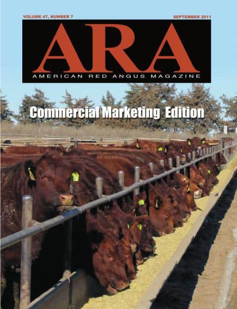 American Red Angus Magazine September 2011