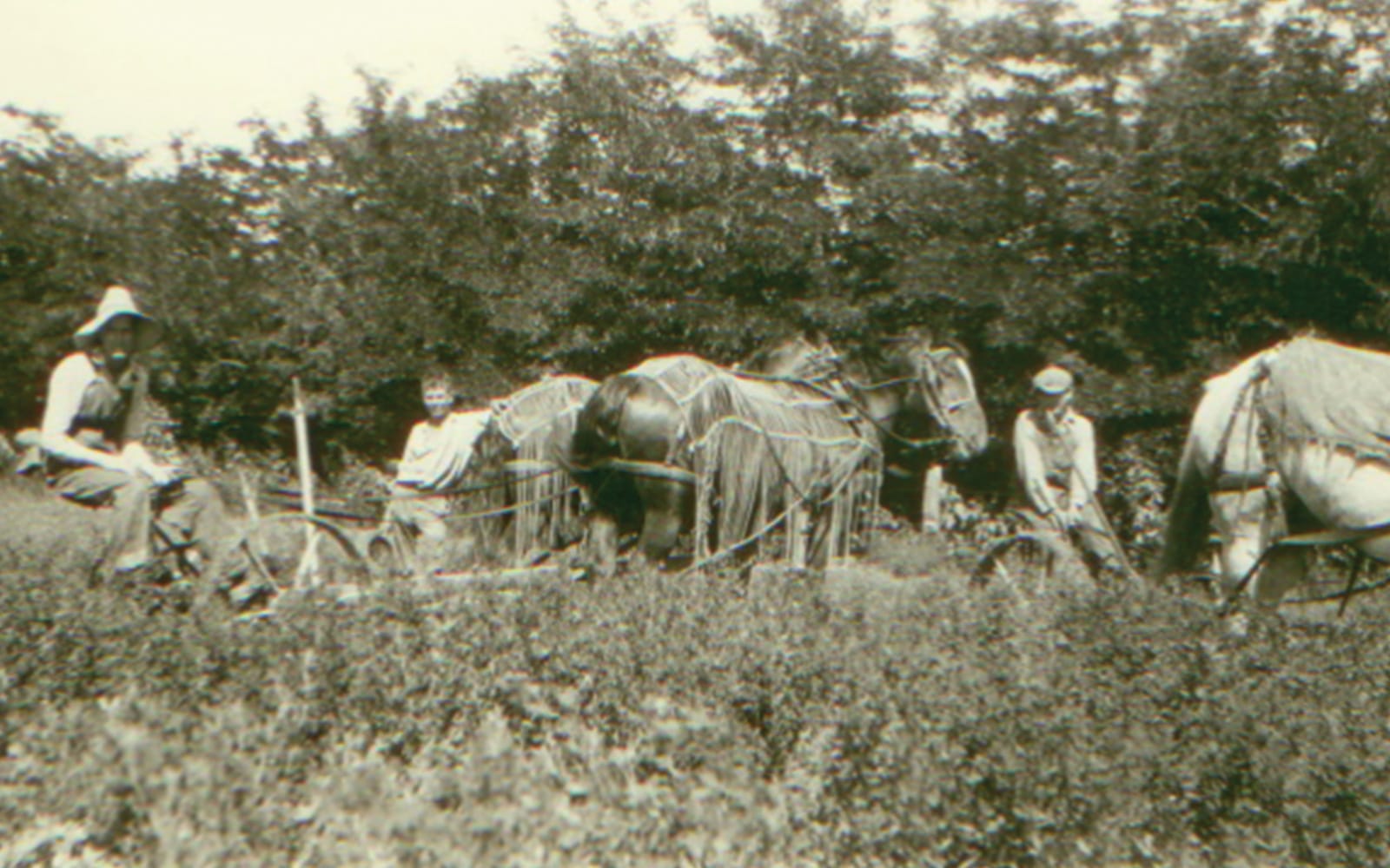 Edward Christensen farming on the ranch