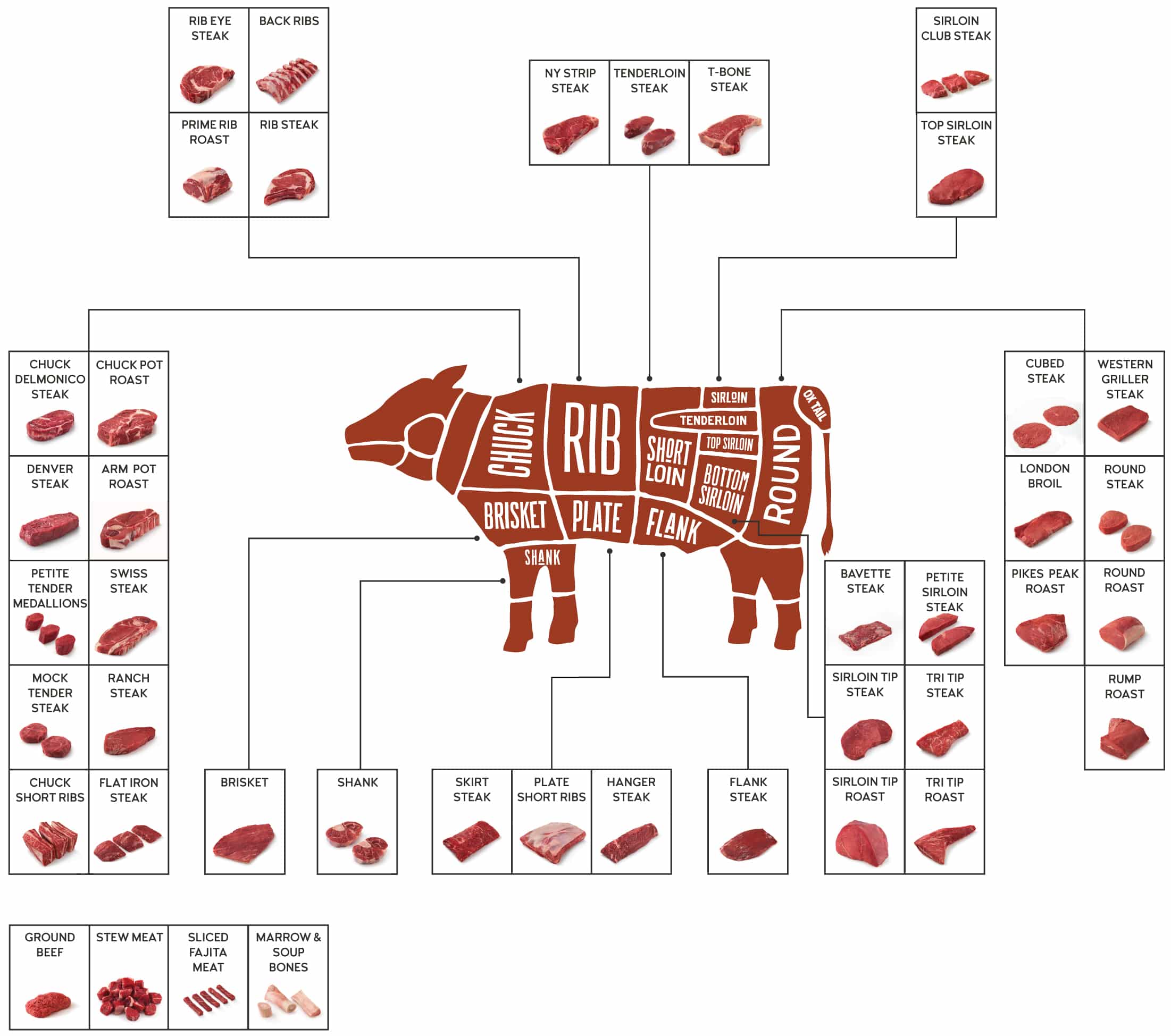 Diagram showing where each cut of beef is located on a steer or cow
