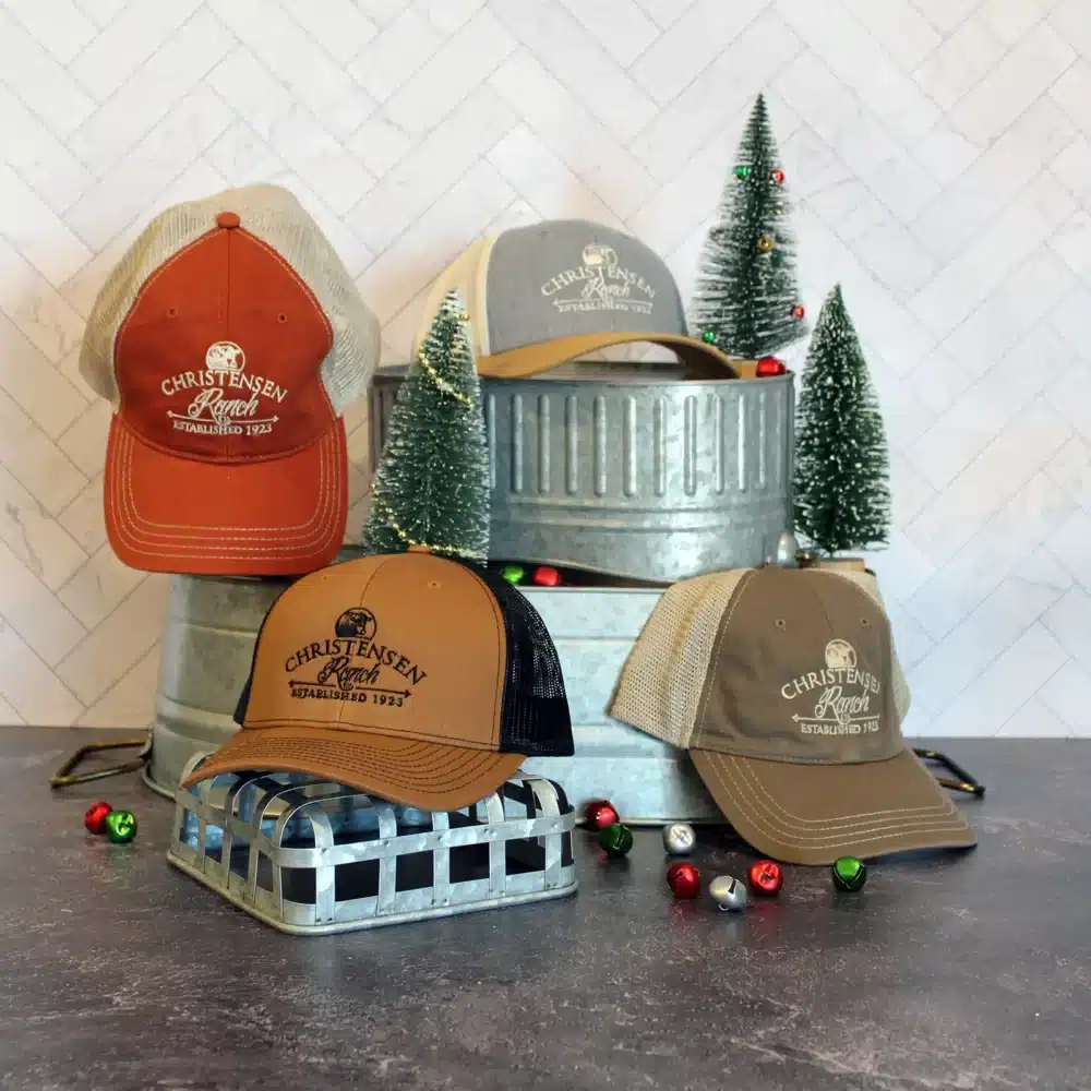 Christensen Ranch Washed Trucker Cap - Image 2