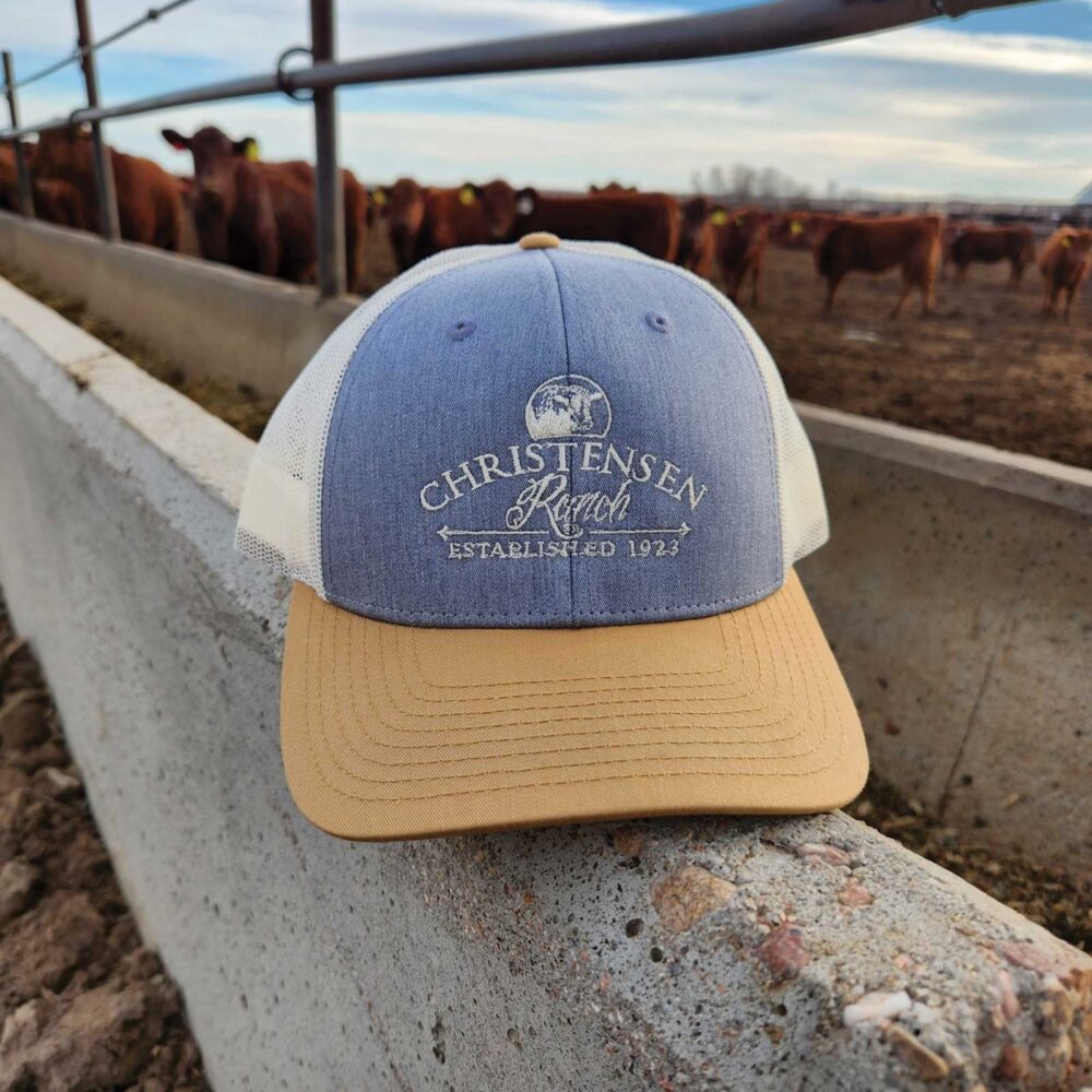 Christensen Ranch Trucker Snapback Cap with Gold Visor, Heather Gray Front, and Birch Mesh Back