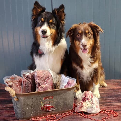 Best Friends Christmas