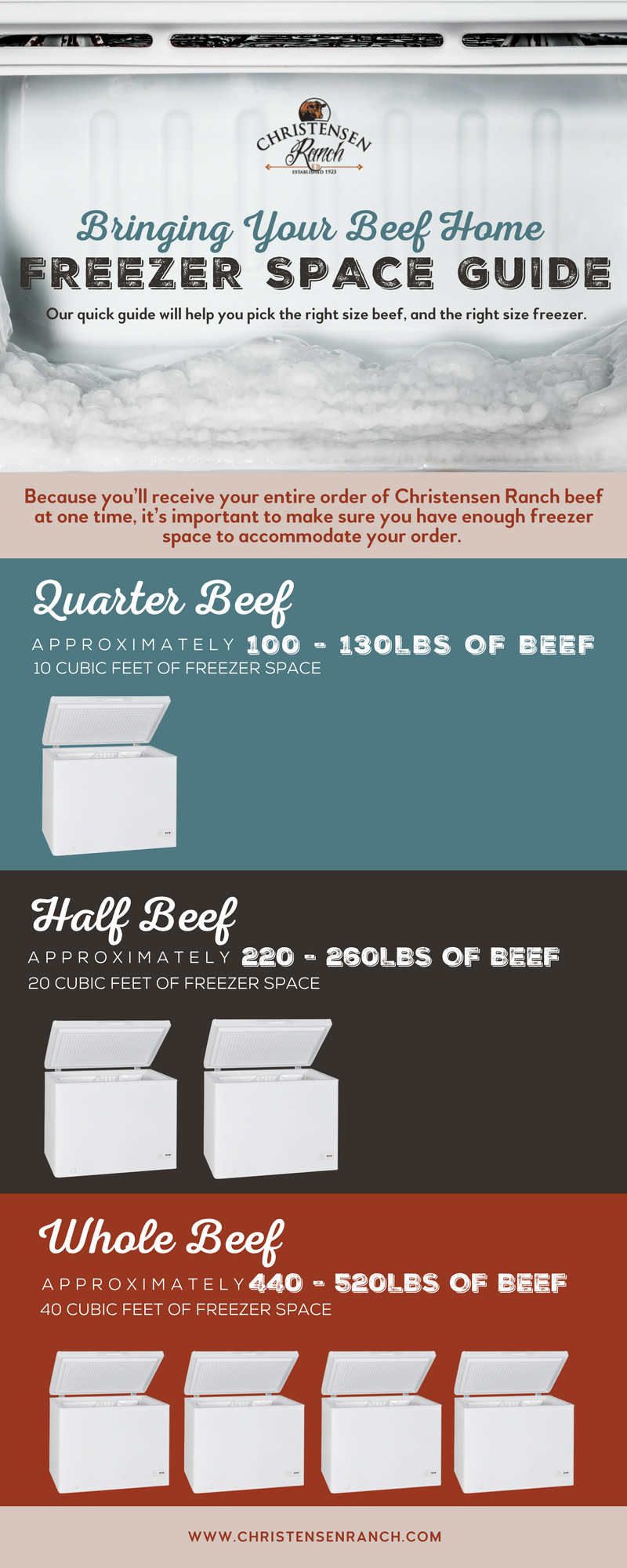 Infographic illustrating the amount of freezer space needed for each size of beef